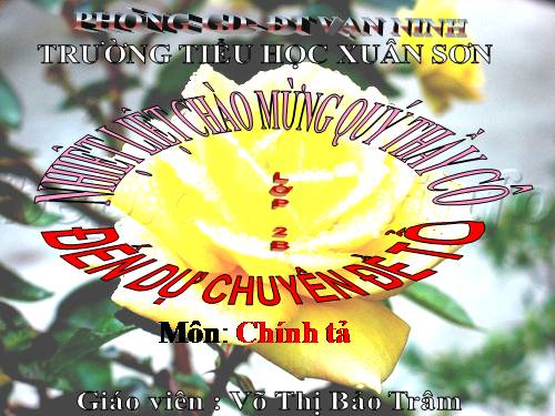 Tuần 25. Bé nhìn biển
