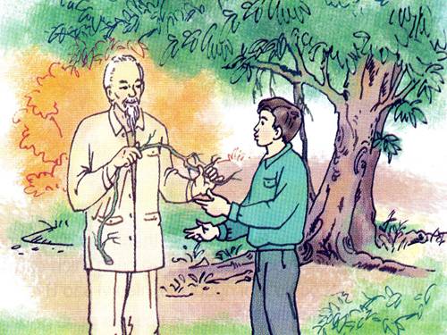 Tuần 31. Chiếc rễ đa tròn