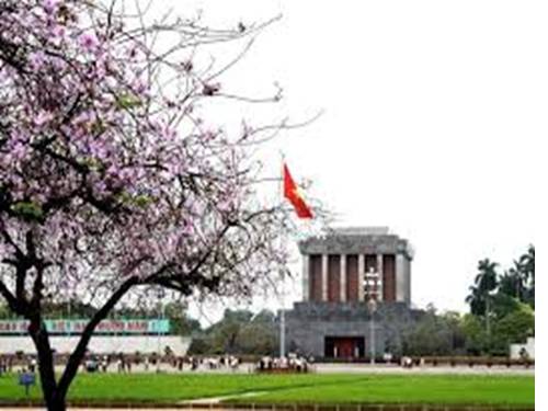 Tuần 31. Cây và hoa bên lăng Bác