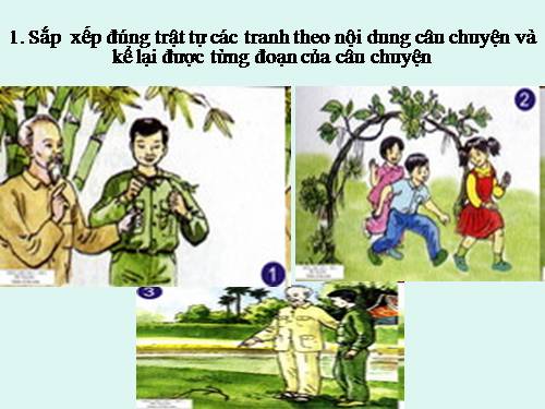Tuần 31. Chiếc rễ đa tròn