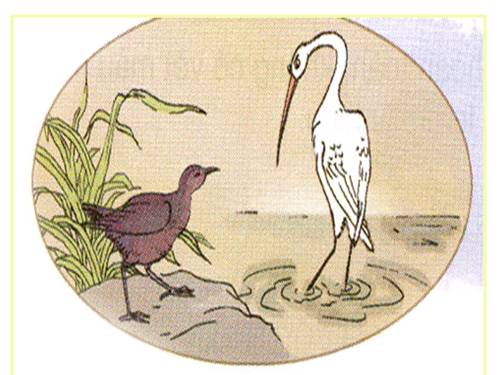 Tuần 22. Cò và Cuốc
