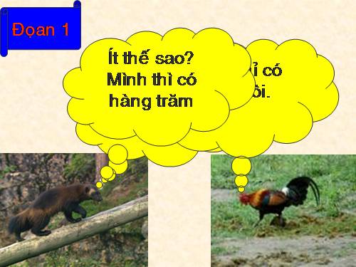 Tuần 22. Một trí khôn hơn trăm trí khôn
