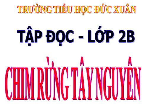 Tuần 22. Chim rừng Tây Nguyên