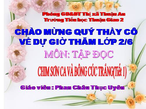 Tuần 21. Chim sơn ca và bông cúc trắng