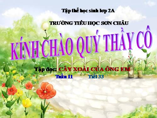Tuần 11. Cây xoài của ông em