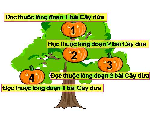 Tuần 29. Những quả đào