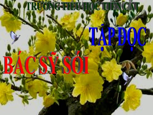 Tuần 23. Bác sĩ Sói