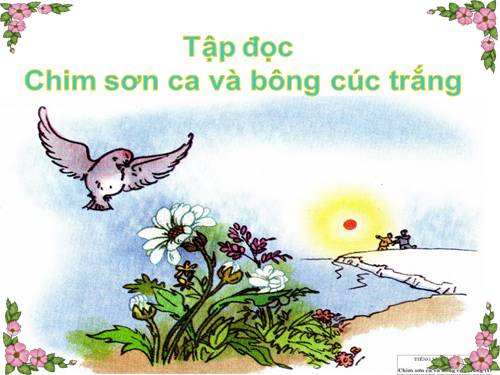 Tuần 21. Chim sơn ca và bông cúc trắng