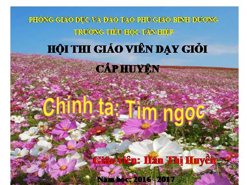 Tuần 17. Tìm ngọc