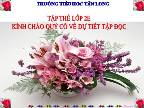 Tuần 17. Tìm ngọc