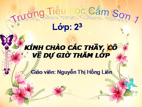 Tuần 28. Cây dừa