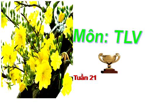 Tuần 21. Vè chim