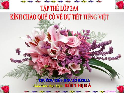 tuan 11 thực hành tiết 1 buổi chieu