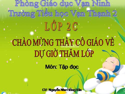 Tuần 28. Cây dừa