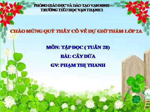 Tuần 28. Cây dừa