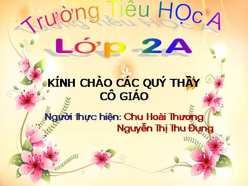 Tuần 28. Cây dừa