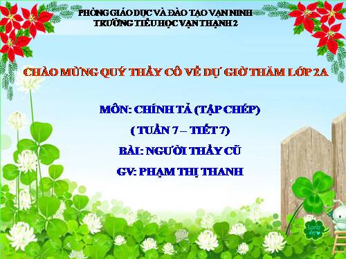 Tuần 7. Người thầy cũ