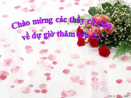 Tuần 11. Cây xoài của ông em