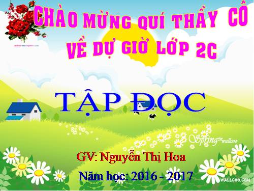 Tuần 11. Cây xoài của ông em