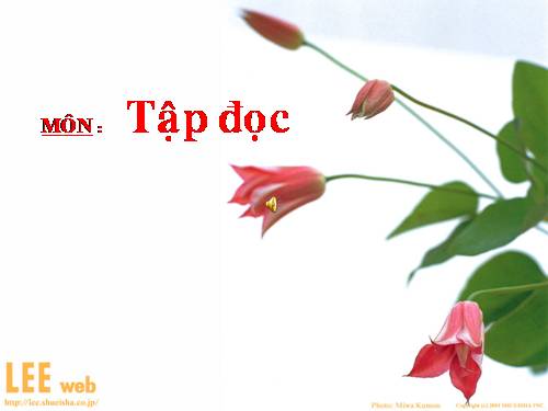 Tuần 12. Mẹ