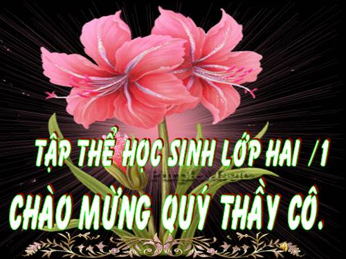 Tuần 8. Người mẹ hiền