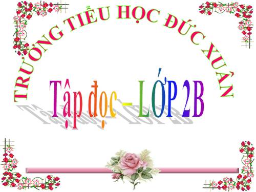 Tuần 8. Bàn tay dịu dàng