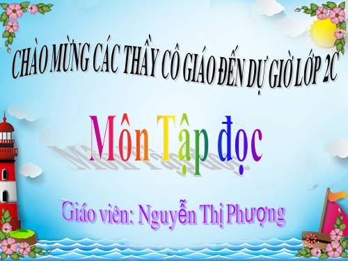 Tuần 8. Bàn tay dịu dàng
