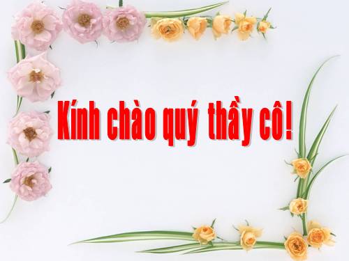 Tuần 8. Bàn tay dịu dàng