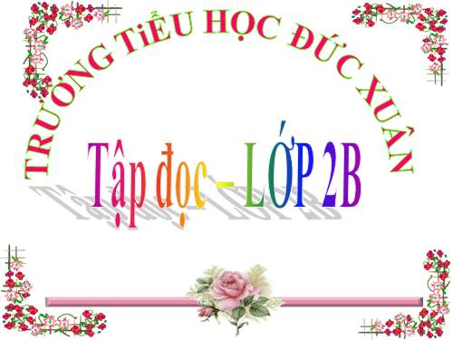 Tuần 8. Bàn tay dịu dàng