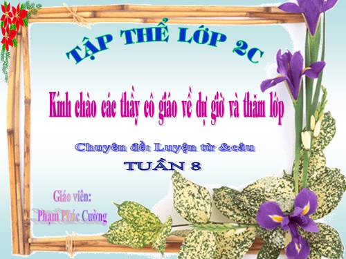 Tuần 8. Bàn tay dịu dàng