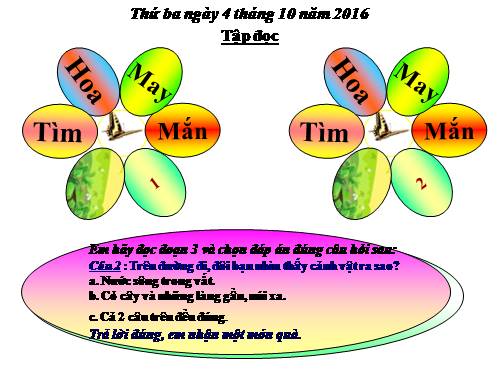 Tuần 5. Chiếc bút mực