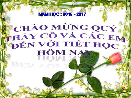 Tuần 6. Mẩu giấy vụn