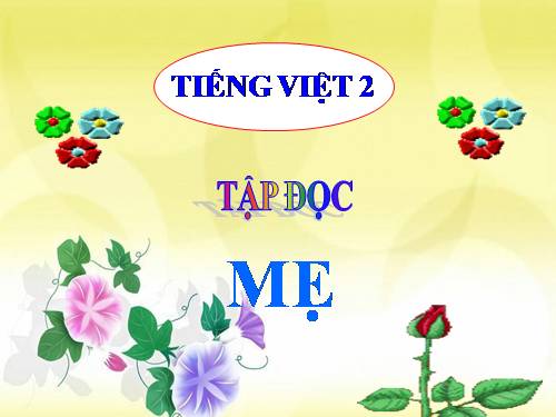 Tuần 12. Mẹ