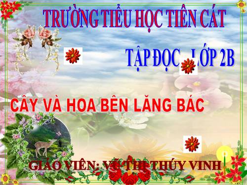 Tuần 31. Cây và hoa bên lăng Bác