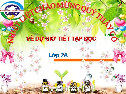 Tuần 28. Cây dừa