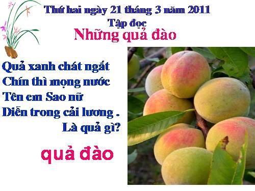 Tuần 29. Những quả đào