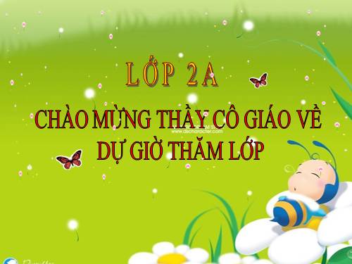 Tuần 28. Cây dừa