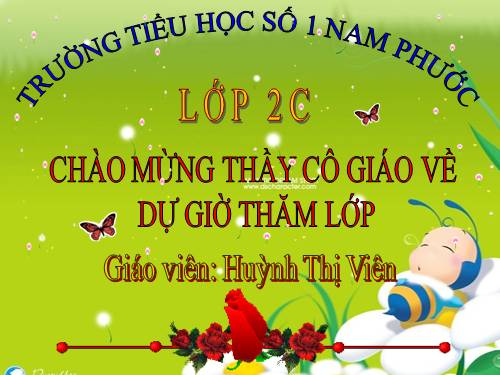 Tuần 28. Cây dừa