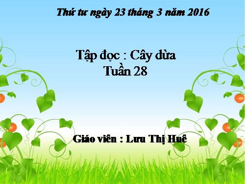 Tuần 28. Cây dừa
