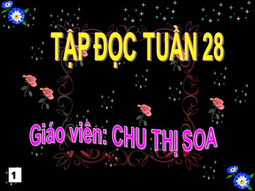 Tuần 28. Cây dừa