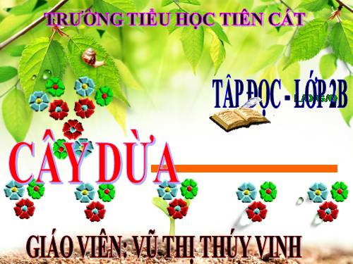 Tuần 28. Cây dừa