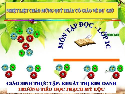 Tuần 28. Cây dừa