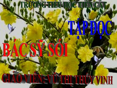 Tuần 23. Bác sĩ Sói