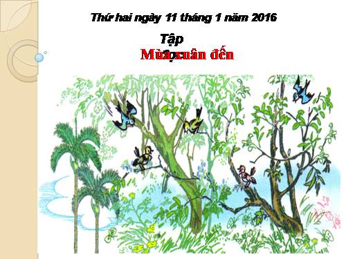 Tuần 20. Mùa xuân đến