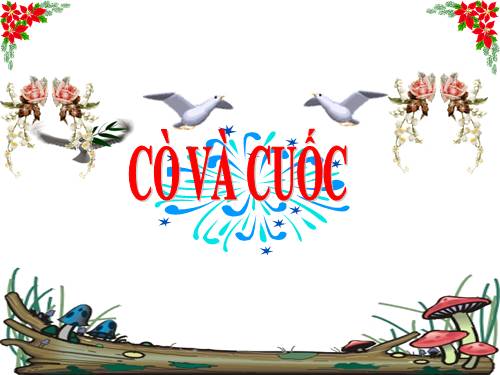 Tuần 22. Cò và Cuốc