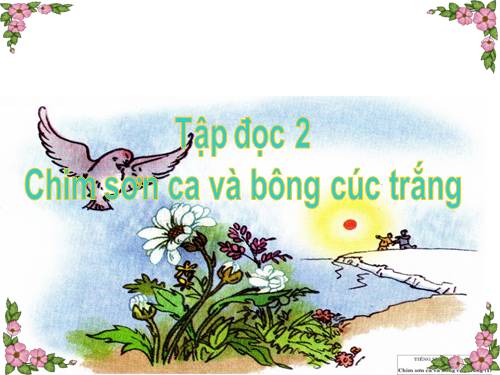 Tuần 21. Chim sơn ca và bông cúc trắng