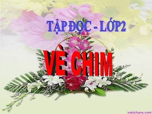 Tuần 21. Vè chim