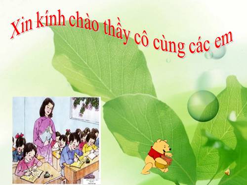 Tuần 5. Chiếc bút mực