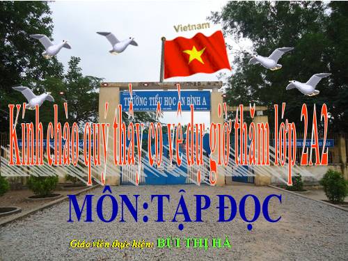 Tuần 16. Thời gian biểu