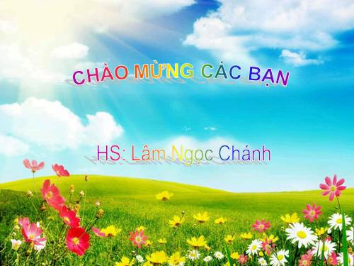 Tuần 11. Đi chợ